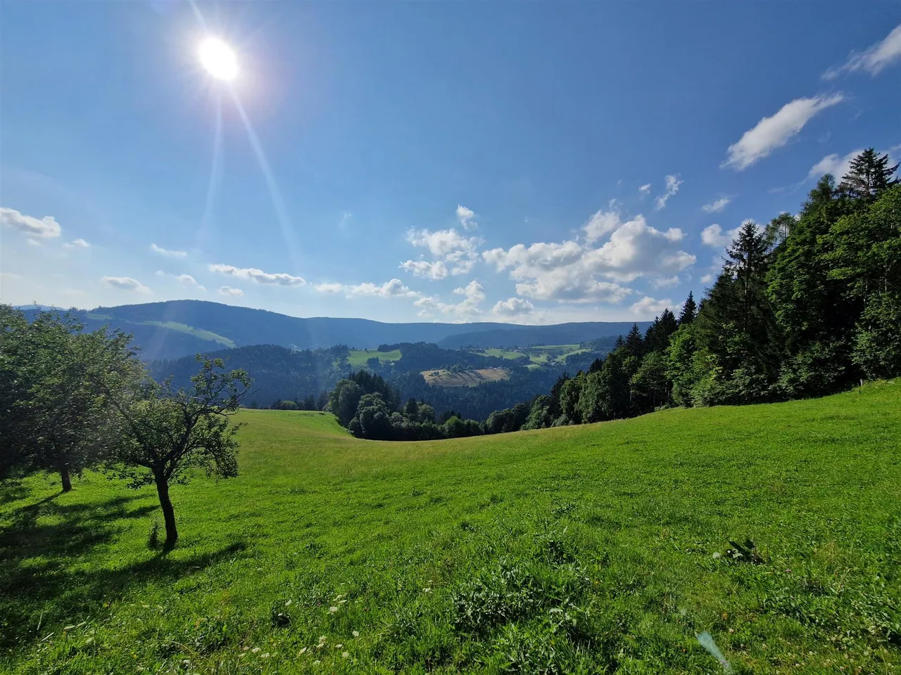 Razgled s kmetije čez Zreško Pohorje