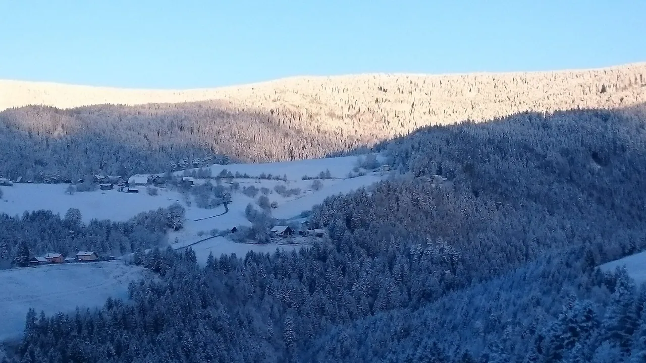Nabiranje gob in borovnic